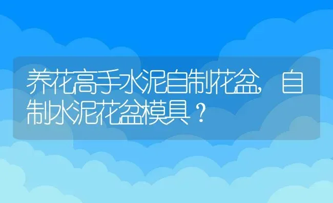 养花高手水泥自制花盆,自制水泥花盆模具？ | 养殖常见问题