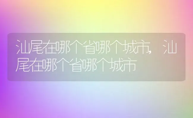 汕尾在哪个省哪个城市,汕尾在哪个省哪个城市 | 养殖常见问题