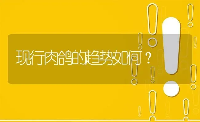 现行肉鸽的趋势如何? | 养殖问题解答