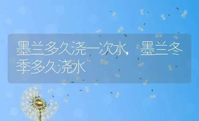 墨兰多久浇一次水,墨兰冬季多久浇水 | 养殖常见问题