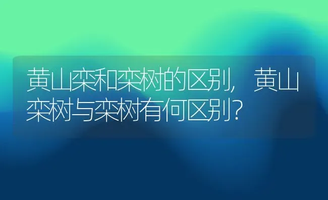 黄山栾和栾树的区别,黄山栾树与栾树有何区别？ | 养殖常见问题