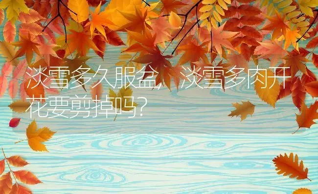 淡雪多久服盆,淡雪多肉开花要剪掉吗？ | 养殖常见问题