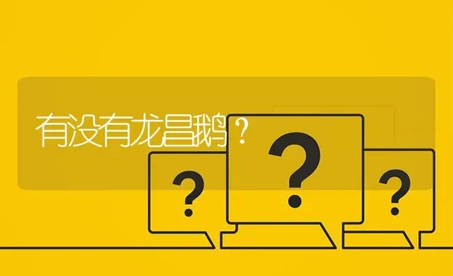 有没有龙昌鹅? | 养殖问题解答