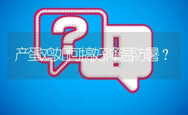 产蛋鸡如何搞好降温防暑? | 养殖问题解答