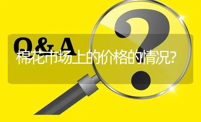 棉花市场上的价格的情况? | 养殖问题解答