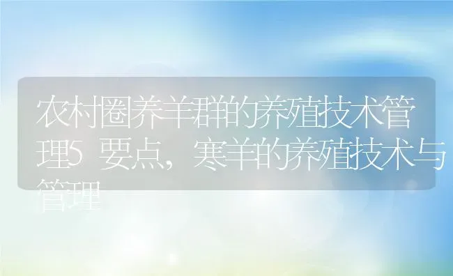 农村圈养羊群的养殖技术管理5要点,寒羊的养殖技术与管理 | 养殖常见问题