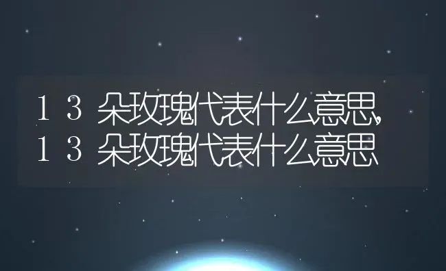 13朵玫瑰代表什么意思,13朵玫瑰代表什么意思 | 养殖常见问题