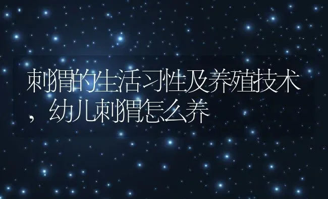 刺猬的生活习性及养殖技术,幼儿刺猬怎么养 | 养殖常见问题