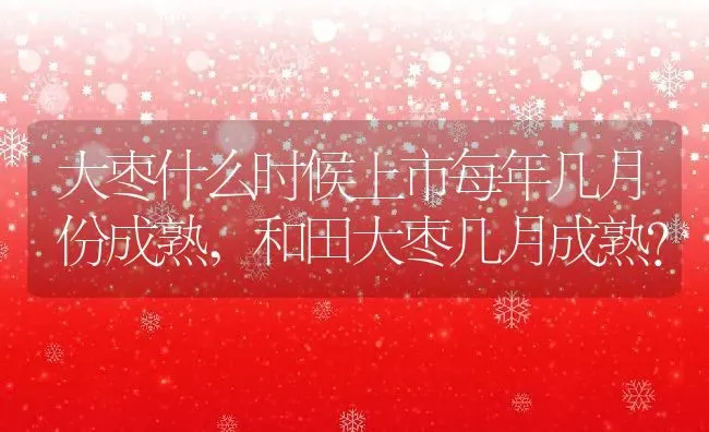 大枣什么时候上市每年几月份成熟,和田大枣几月成熟？ | 养殖常见问题