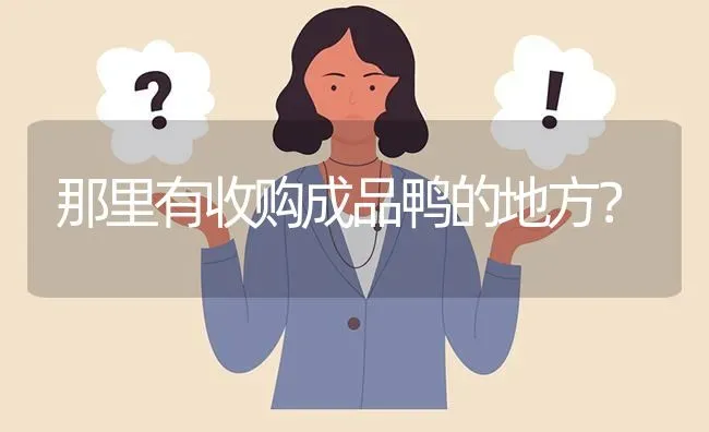 那里有收购成品鸭的地方? | 养殖问题解答