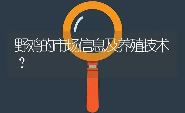 野鸡的市场信息及养殖技术? | 养殖问题解答