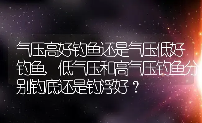 气压高好钓鱼还是气压低好钓鱼,低气压和高气压钓鱼分别钓底还是钓浮好？ | 养殖常见问题