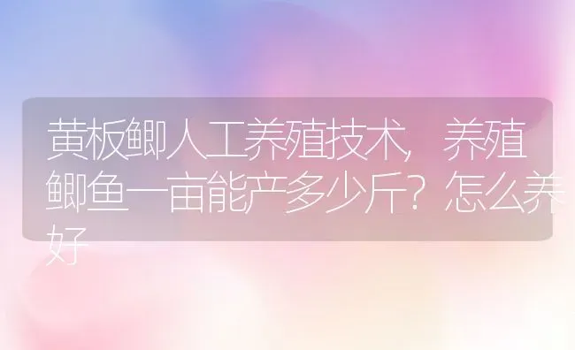 黄板鲫人工养殖技术,养殖鲫鱼一亩能产多少斤？怎么养好 | 养殖常见问题