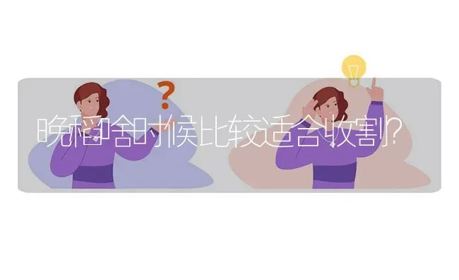 晚稻啥时候比较适合收割? | 养殖问题解答