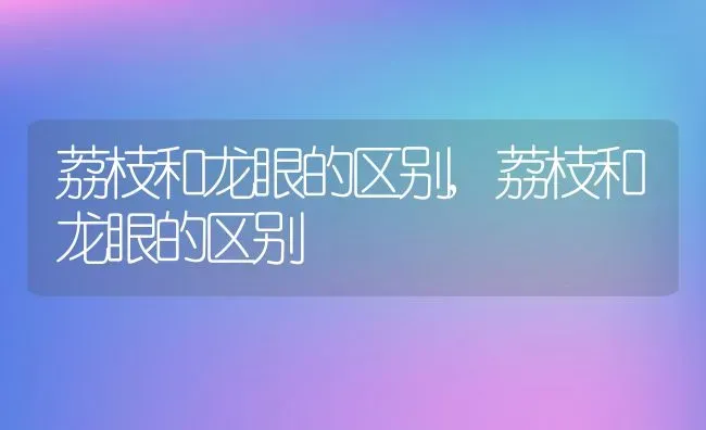 荔枝和龙眼的区别,荔枝和龙眼的区别 | 养殖常见问题