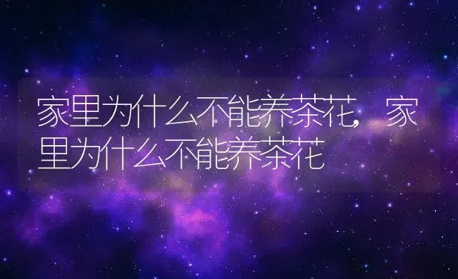 家里为什么不能养茶花,家里为什么不能养茶花 | 养殖常见问题