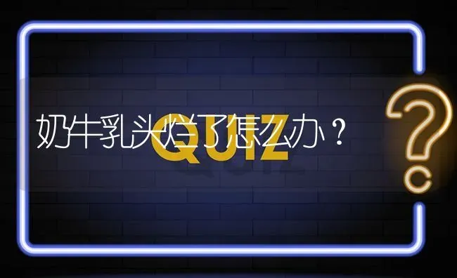 奶牛乳头烂了怎么办? | 养殖问题解答