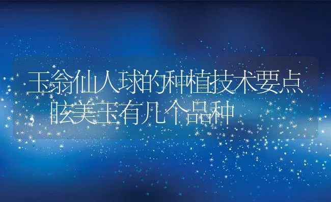 玉翁仙人球的种植技术要点,眩美玉有几个品种 | 养殖常见问题