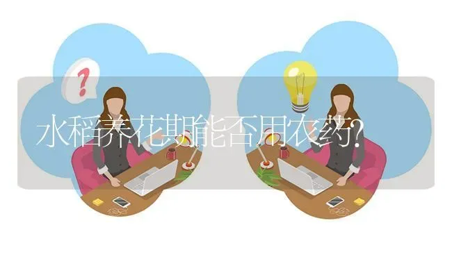 水稻养花期能否用农药? | 养殖问题解答