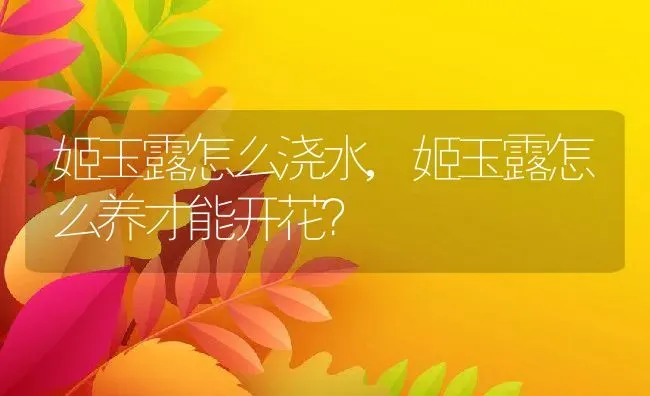 姬玉露怎么浇水,姬玉露怎么养才能开花？ | 养殖常见问题