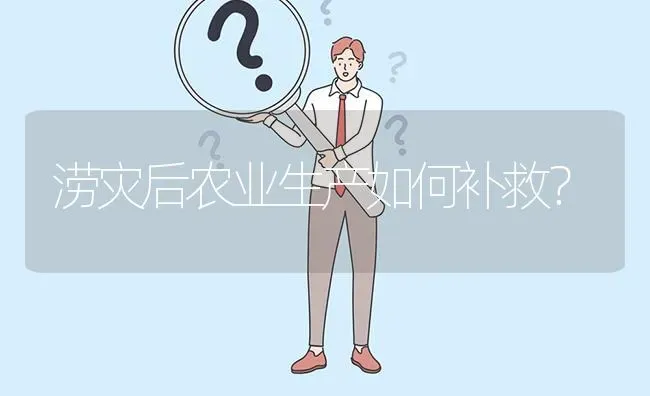 涝灾后农业生产如何补救? | 养殖问题解答