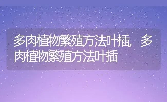 多肉植物繁殖方法叶插,多肉植物繁殖方法叶插 | 养殖常见问题