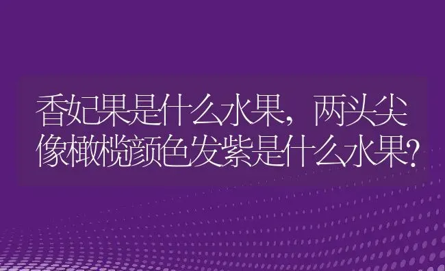 香妃果是什么水果,两头尖像橄榄颜色发紫是什么水果？ | 养殖常见问题