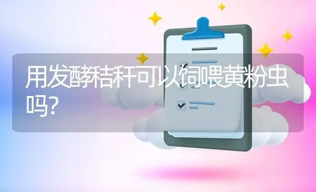 用发酵秸秆可以饲喂黄粉虫吗? | 养殖问题解答