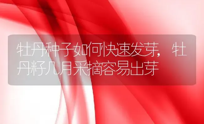 牡丹种子如何快速发芽,牡丹籽几月采摘容易出芽 | 养殖常见问题