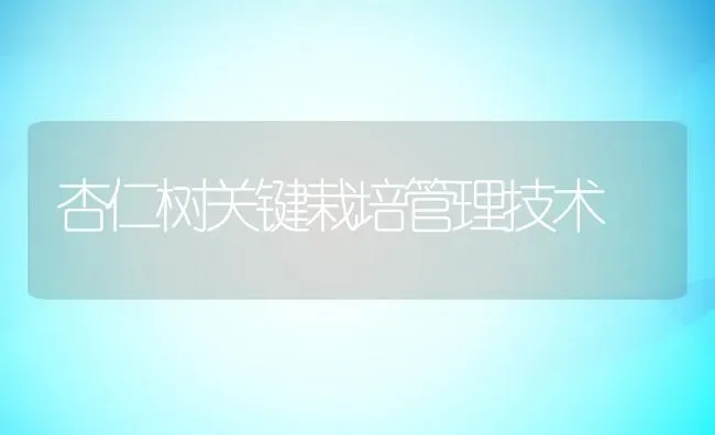 杏仁树关键栽培管理技术 | 养殖常见问题