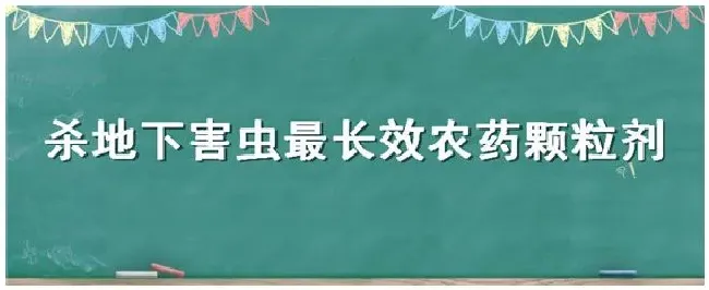 杀地下害虫最长效农药颗粒剂 | 三农问答