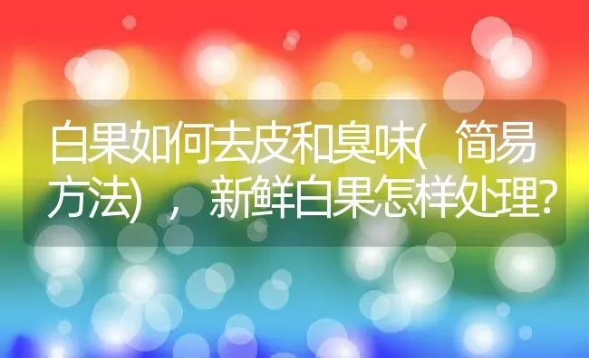 白果如何去皮和臭味(简易方法),新鲜白果怎样处理？ | 养殖常见问题