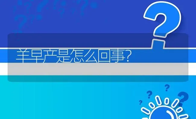 羊早产是怎么回事? | 养殖问题解答