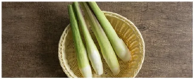 茭白需要每年种植吗 | 农业答疑