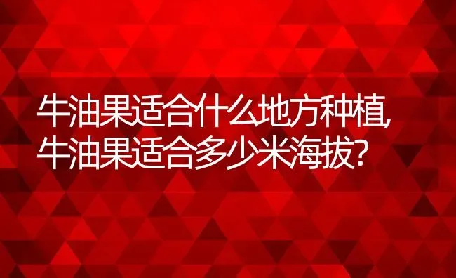 牛油果适合什么地方种植,牛油果适合多少米海拔？ | 养殖常见问题