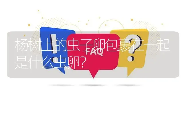 杨树上的虫子卵包裹在一起是什么虫卵? | 养殖问题解答