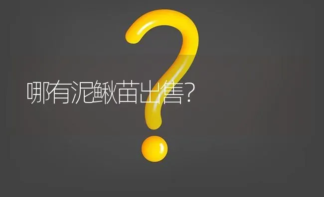 哪有泥鳅苗出售? | 养殖问题解答