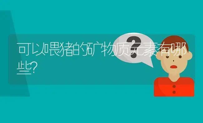 可以喂猪的矿物质元素有哪些? | 养殖问题解答