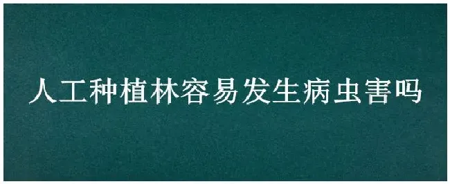 人工种植林容易发生病虫害吗 | 农业常识