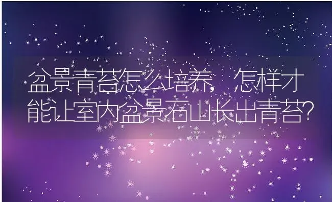 盆景青苔怎么培养,怎样才能让室内盆景石山长出青苔？ | 养殖常见问题