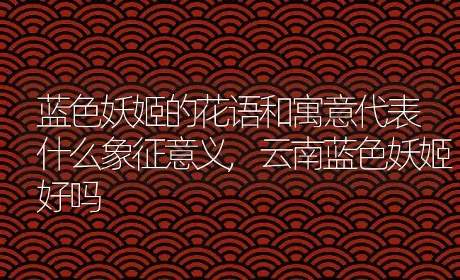 蓝色妖姬的花语和寓意代表什么象征意义,云南蓝色妖姬好吗 | 养殖常见问题