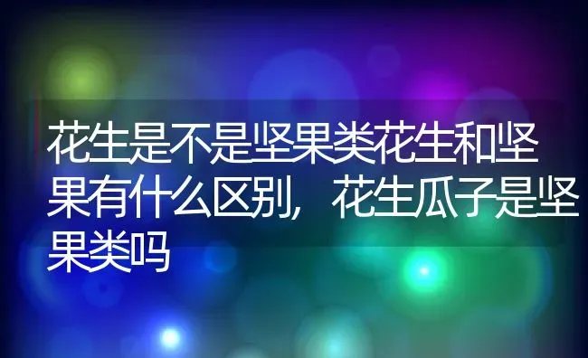 花生是不是坚果类花生和坚果有什么区别,花生瓜子是坚果类吗 | 养殖常见问题