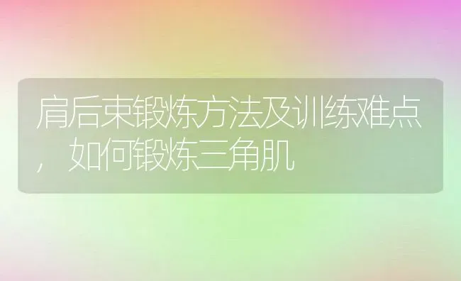 肩后束锻炼方法及训练难点,如何锻炼三角肌 | 养殖常见问题