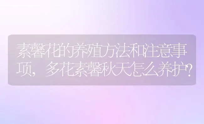 素馨花的养殖方法和注意事项,多花素馨秋天怎么养护？ | 养殖常见问题