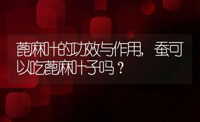 蓖麻叶的功效与作用,蚕可以吃蓖麻叶子吗？ | 养殖常见问题