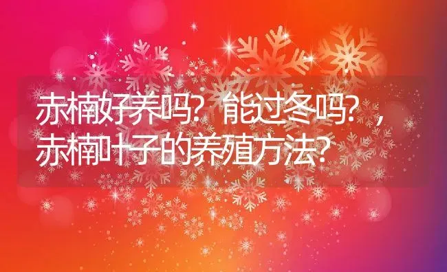 赤楠好养吗?能过冬吗?,赤楠叶子的养殖方法？ | 养殖常见问题