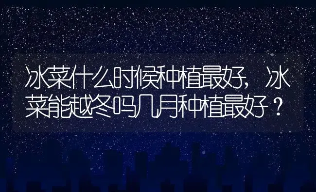 冰菜什么时候种植最好,冰菜能越冬吗几月种植最好？ | 养殖常见问题