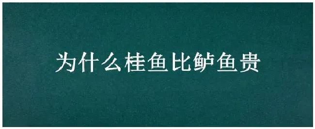 为什么桂鱼比鲈鱼贵 | 生活常识