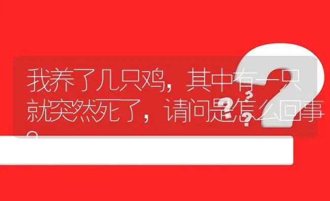 我养了几只鸡,其中有一只就突然死了,请问是怎么回事? | 养殖问题解答