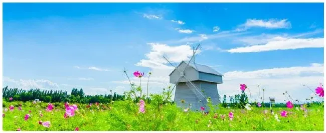 植物靠什么传播种子 | 农业答疑